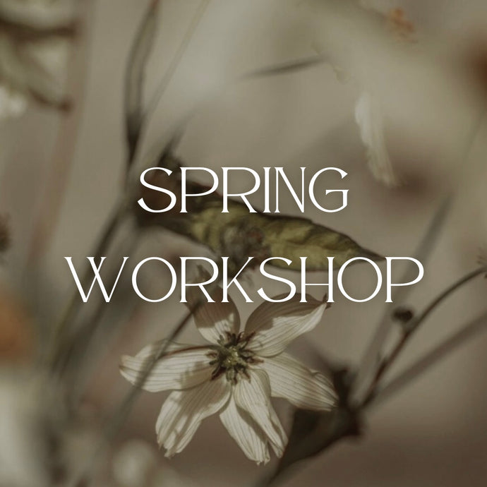 spring workshop