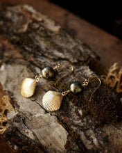 Load image into Gallery viewer, earrings: seashells