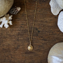 Load image into Gallery viewer, seashell necklace