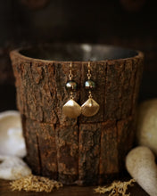 Load image into Gallery viewer, earrings: seashells