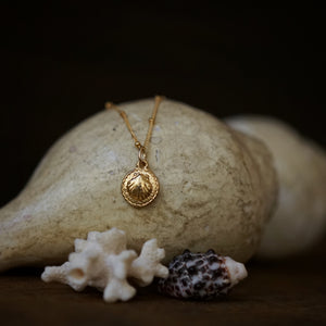 seashell necklace