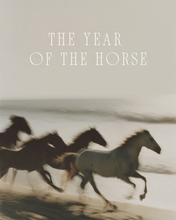 Load image into Gallery viewer, THRESHOLD