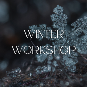 Winter workshop